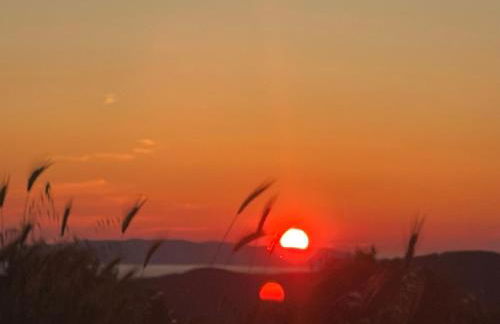 Nido d'Arte - Foto 23