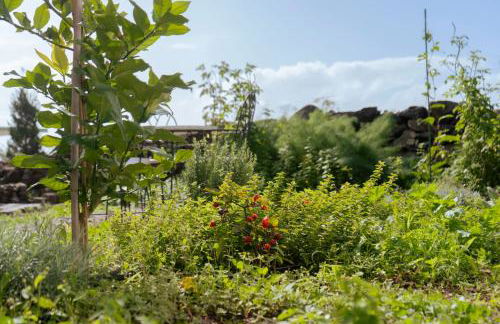 Quinta Marefe - On the stunning west coast - Foto 37