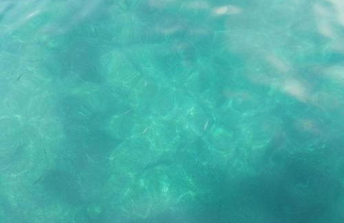 Villa Venezuela 1° Piano - Foto 27