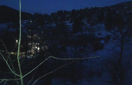 House in the Forest - Foto 44