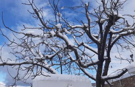 Mannashouse - Foto 25