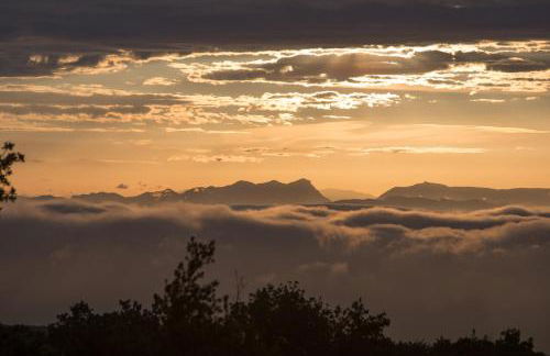 Mas Saint Antoine - Foto 38