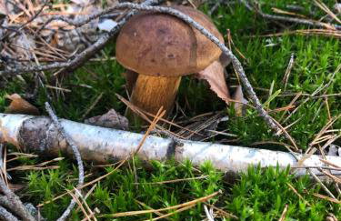 Rudno 48 Domek Letniskowy - Foto 30