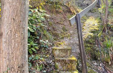 Apartment in Zell an der Mosel - Foto 8