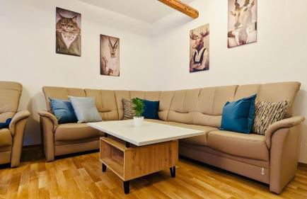 Die Arche - eigene Haushälfte im Stadtzentrum - Foto 8