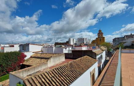 Patio del Lino - Photo 30