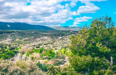 Casa Terra - Foto 29