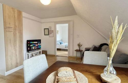 Loisirs travail, court, long séjour, idéalement situé, 2 chambres en enfilade, parking gratuit - Foto 7