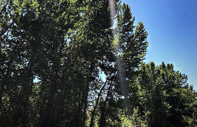 Hannon House - Photo 60