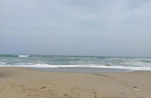 Saint Cyprien - Appart - Piscine-Mer - Photo 16