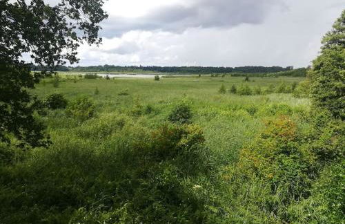 Old School Nausdorf - Foto 17