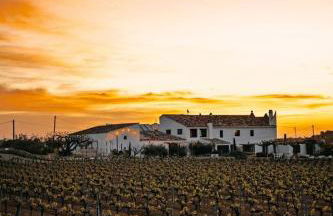 Soul Farm Mas els Igols - Foto 47