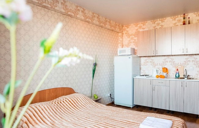 Apartment Economy on Piskunova 148-2 - Photo 4