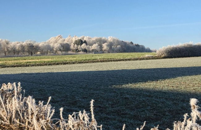 Holiday Home Country House on Himmelsberg - Foto 24