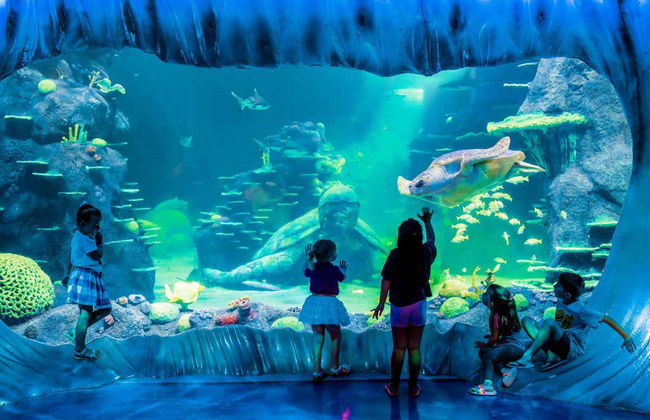 SEA LIFE ® Sydney Entrance Ticket - Foto 1