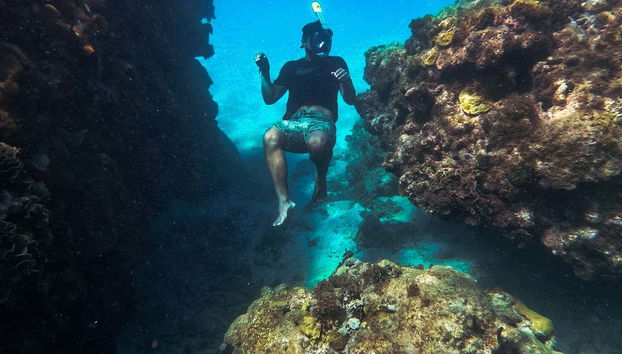 Snorkeling à l'Isla Escudo de Veraguas