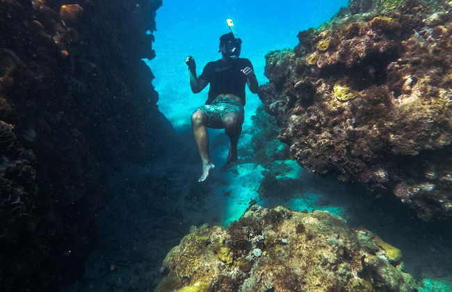 Excursión a Isla Escudo de Veraguas - Foto 2