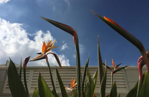 Frente al Mar - Rosales - Photo 25