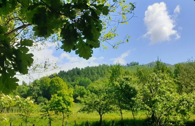 Retreat Holiday in Cozy Traditional House - Photo 48