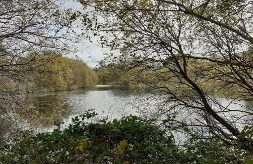 The Annex - Photo 11