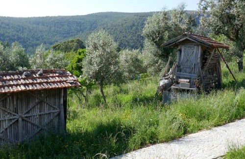 Casa Escola Velha - Foto 26