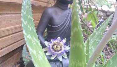 petit cocon - Foto 2