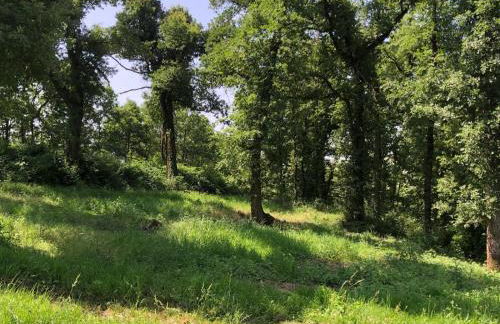 Villa Larrouy - Photo 8