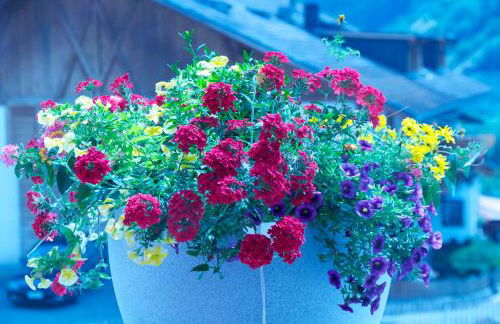 Lapis Monti - Apartments & Suites - Foto 18