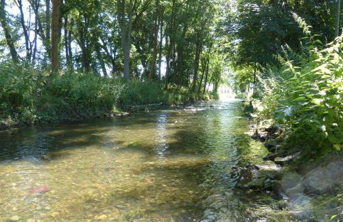 Ferienwohnung mit Brockenblick - Foto 10