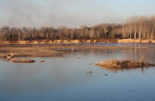 Apartamento Turístico Cigüeña de Alfaro - Foto 35