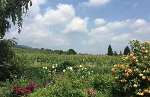 Traumblick Rebenmeer - Foto 31