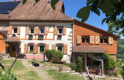 Maison pittoresque à Sainte-Croix-aux-Mines, vue sur la montagne - Foto 40