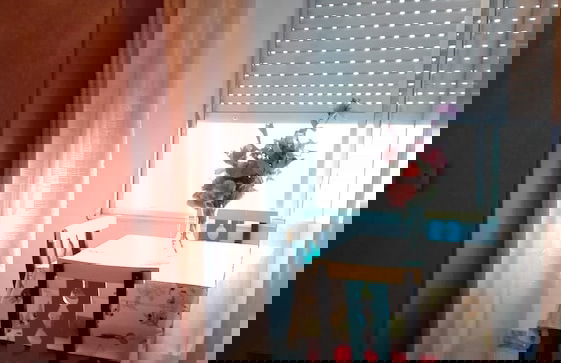 Apartamentos Guardamar del Segura - Foto 44