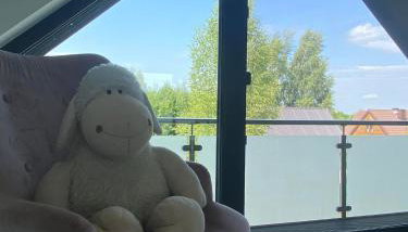 Lazurowy Brzeg - Foto 5