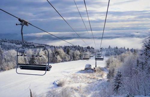 Forest Lake Haven Close to Lake George and Gore Mountain - Foto 58