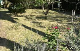 Gradevole studio in corte - Foto 13