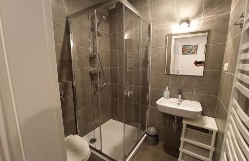 Park Rymanów - Foto 6