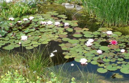 Ferienwohnung Haßmüller - Foto 18