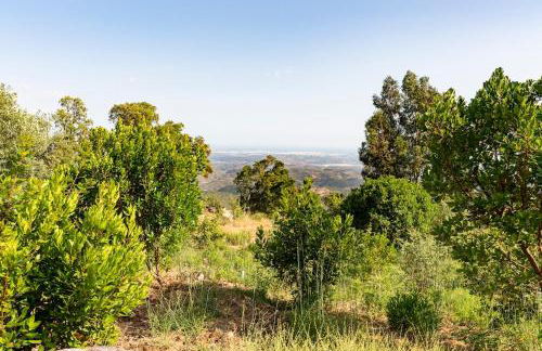 Quinta Da Relva - A traditional farmhouse in a stunning location - Foto 68