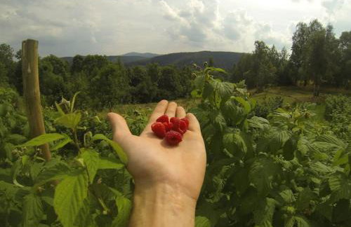 Halinówka - Twoje Miejsce w Górach Sowich - Foto 35