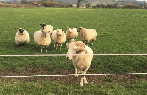 2 Bed in Warminster oc-66326 - Foto 23