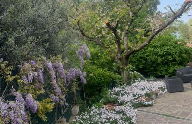 Le Margherite - Foto 15