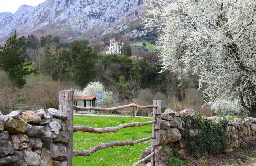 Apartamentos San Antonio de Garabandal - Foto 44