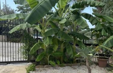 Casetta a Cavarretta - Foto 17