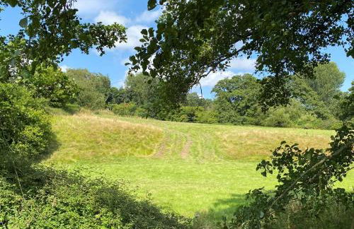 Dovehayes Cottage - Foto 35