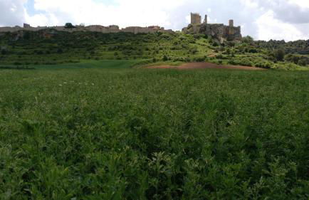 El nido del Mirlo - Foto 79