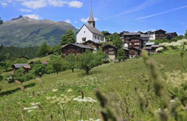 Aragon T100 - Foto 44