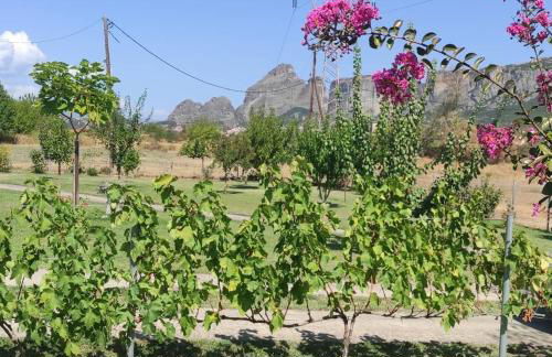 Meteora countryside villa - Foto 72