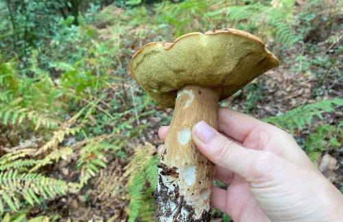 Casa La Oveja Negra, con Piscina - Foto 48