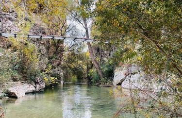 La Rosita alojamiento rural - Foto 10